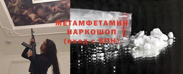 индика Краснослободск