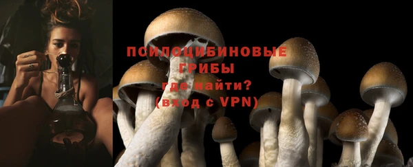 бошки Алексеевка