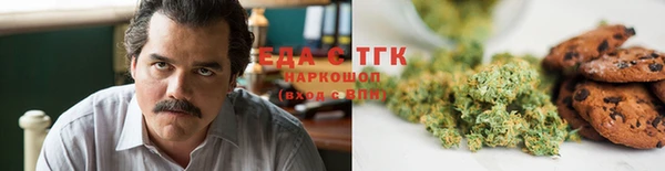 индика Краснослободск