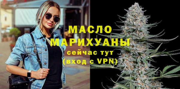 индика Краснослободск