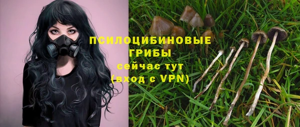 бошки Алексеевка