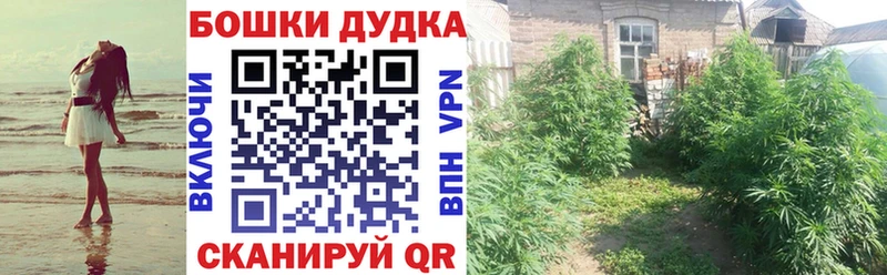 Бошки Шишки индика  купить закладку  Андреаполь 